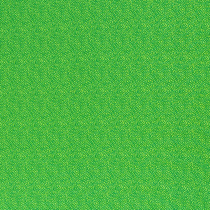 
                  
                    Load image into Gallery viewer, Cotton Poplin Tiny Dots Green
                  
                