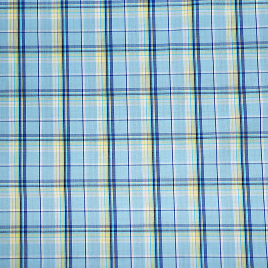 
                  
                    Load image into Gallery viewer, Woven Cotton Check Light Blue
                  
                