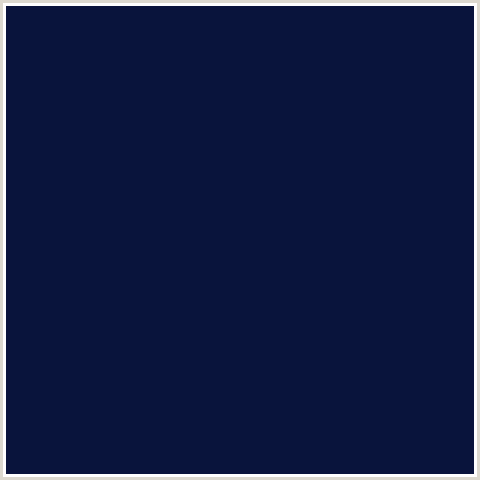 Woven Cotton Dark Blue 45x145cm